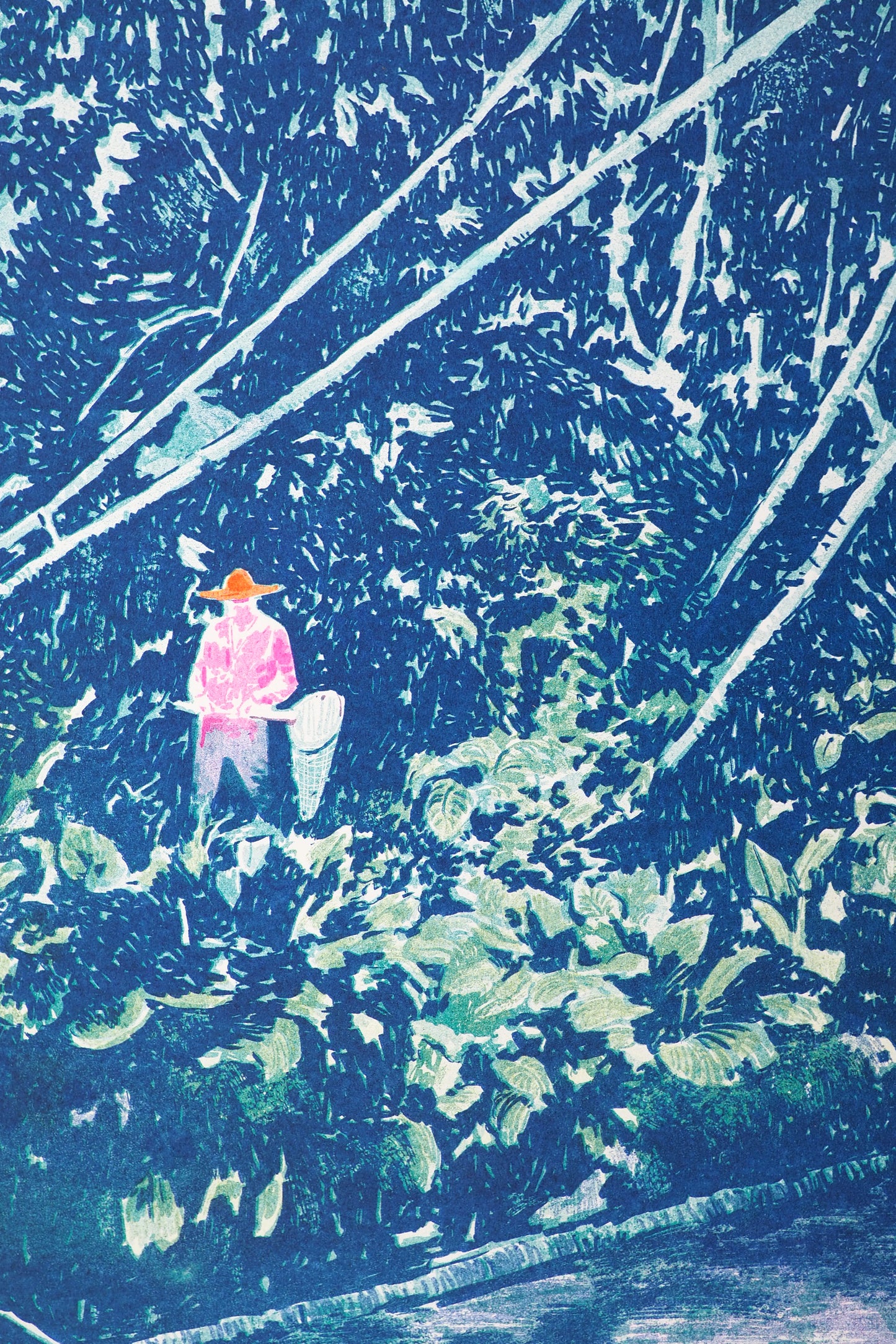 The Butterfly Hunter