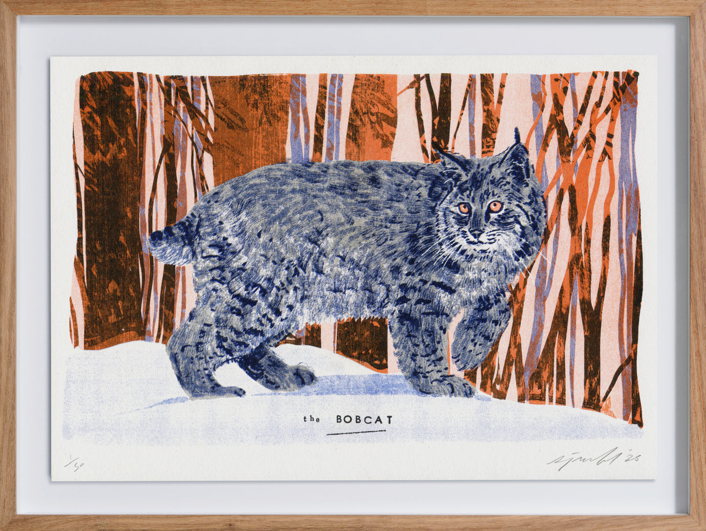 The Bobcat