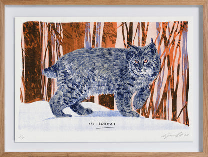 The Bobcat