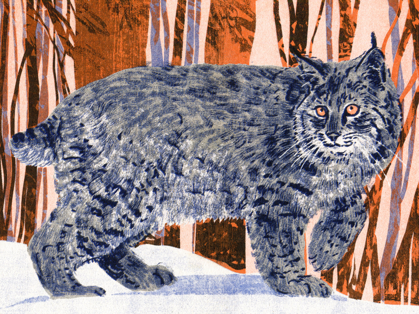 The Bobcat