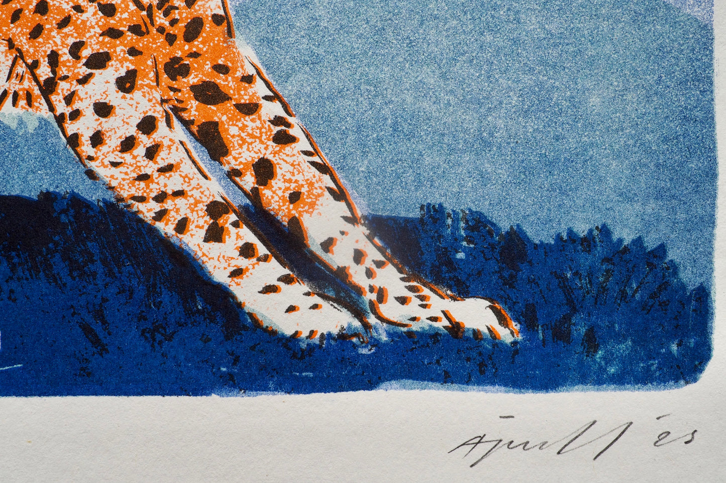 The Cheetah