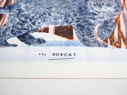 The Bobcat