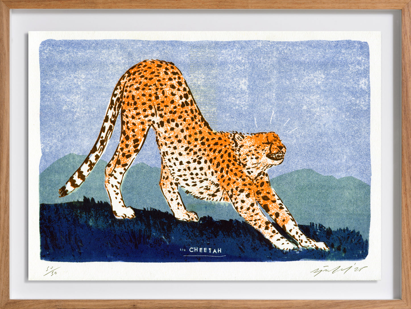 The Cheetah